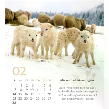 *Psalm 23, 2027