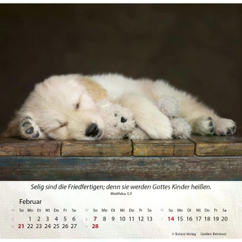 Hundekalender 2027 mit lebendigem Hundefoto und Bibelvers