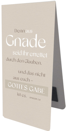 *Magnetlesezeichen