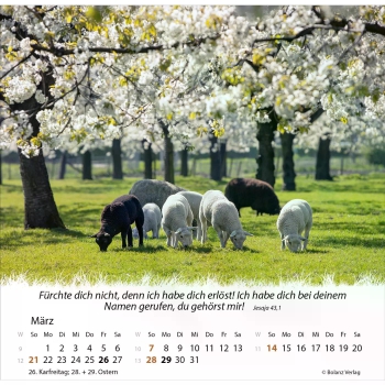 *Ein Leben für die Schafe, 2027