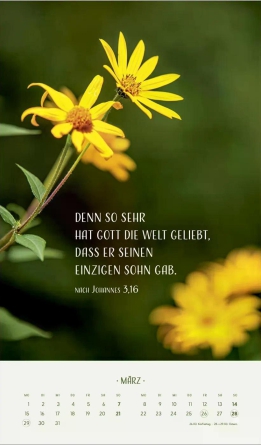 Zarte Blumengrüße Posterkalender