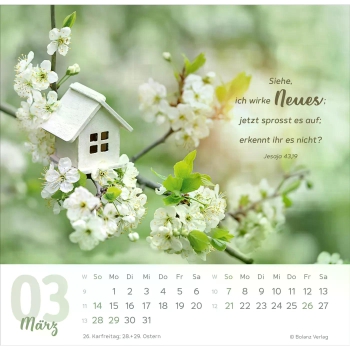 Tischkalender „Meine Zeit“ 2027 mit Bibelvers und ausdrucksstarkem Foto