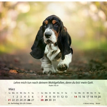 Hundekalender 2027 mit lebendigem Hundefoto und Bibelvers