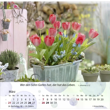 *Gärten, 2027