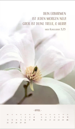 Zarte Blumengrüße Posterkalender