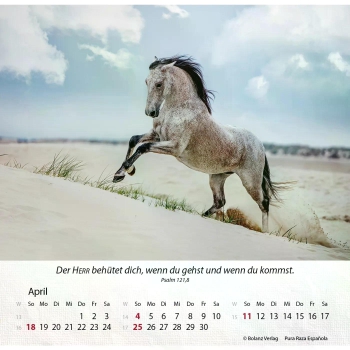Pferdekalender 2027 mit eindrucksvollem Pferdefoto und Bibelvers