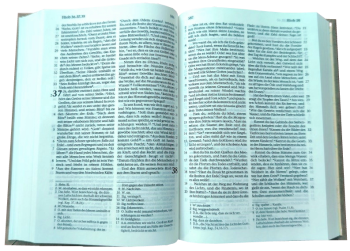 *Pocketbibel, Kunstleder, sandbraun, 9,6 x 14,2 x 2,3 cm
