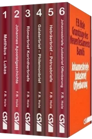 *Grundzüge des Neuen Testaments