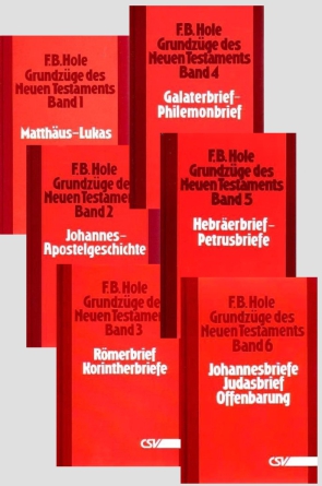 *Grundzüge des Neuen Testaments