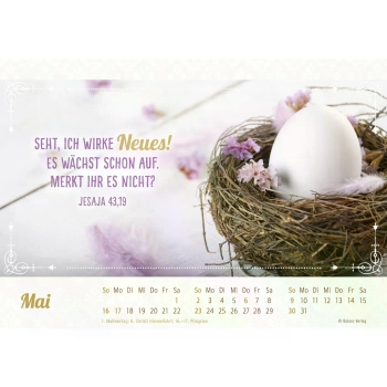 *Herzliche Worte für Dich, Postkartenkalender 2027