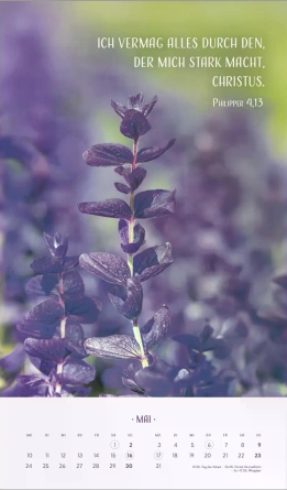 Zarte Blumengrüße Posterkalender