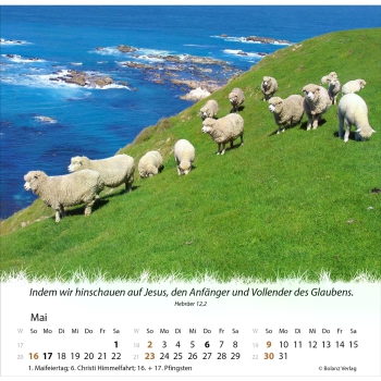 *Ein Leben für die Schafe, 2027