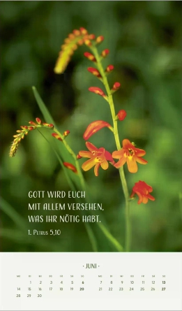 Zarte Blumengrüße Posterkalender