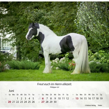 Pferdekalender 2027 mit eindrucksvollem Pferdefoto und Bibelvers