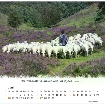 *Ein Leben für die Schafe, 2027