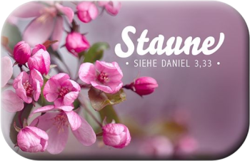 *Magnet „Staune“