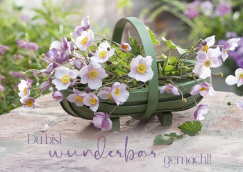 *Postkartenpäckchen „Wir feiern im Garten“