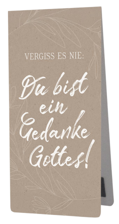 *Magnetlesezeichen
