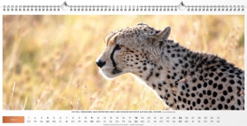 Panoramakalender XL 2027 – Hochwertiger Wandkalender mit Bibelversen, brillanten Bildern und silberner Spiralbindung.