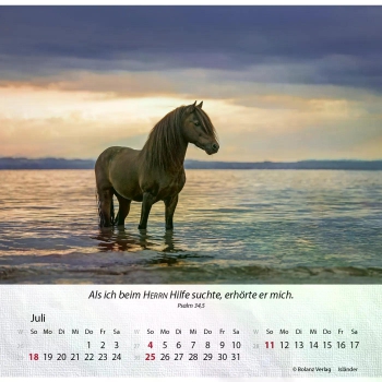 Pferdekalender 2027 mit eindrucksvollem Pferdefoto und Bibelvers