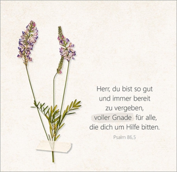*Aufstellbuch „Unendlich geliebt“