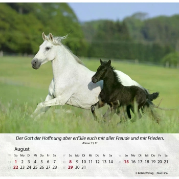 Pferdekalender 2027 mit eindrucksvollem Pferdefoto und Bibelvers