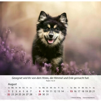 Hundekalender 2027 mit lebendigem Hundefoto und Bibelvers
