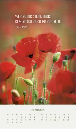 Zarte Blumengrüße Posterkalender