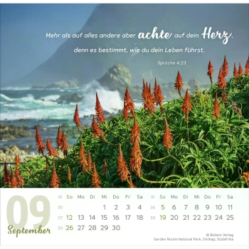 Tischkalender „Meine Zeit“ 2027 mit Bibelvers und ausdrucksstarkem Foto