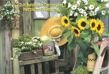 *Doppelkarte, Elberf. Bibelvers, "Genesung"