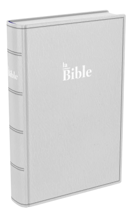 Bibel – französisch, hellgrau, biegsamer Einband