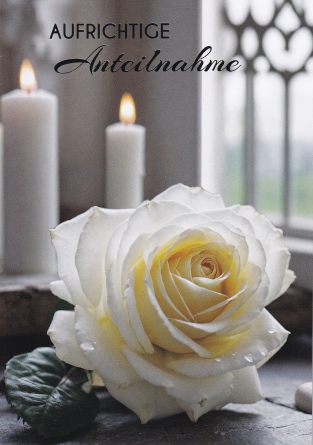 *Faltkarte „Trauer“ Psalm 46,2