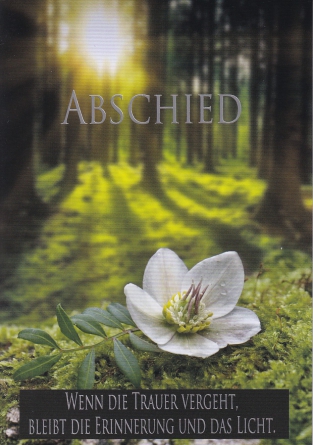 *Faltkarte „Trauer“ 1. Johannes 2,25