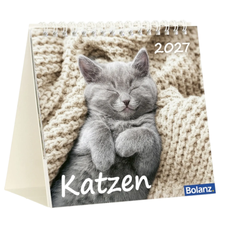 Katzenkalender 2027 mit entspannter Katze und Bibelvers