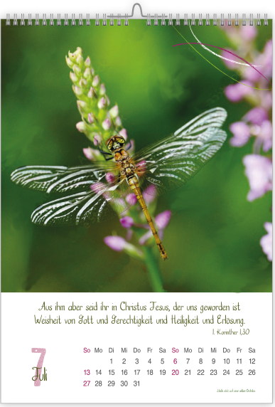 *Natur-Kalender 2026, 30 x 45 cm