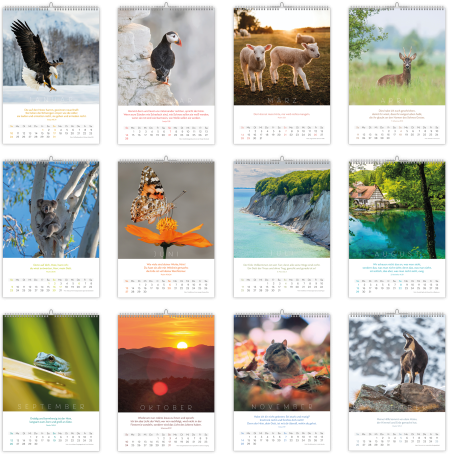 *Natur-Kalender 2027, 30 x 45 cm
