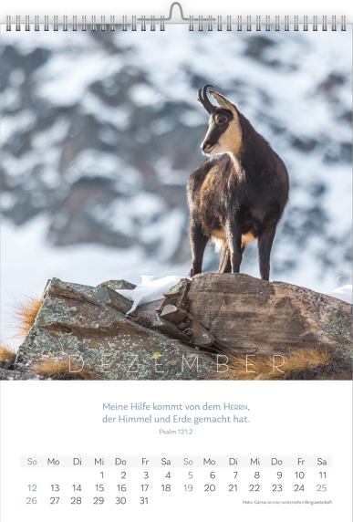 *Natur-Kalender 2027, 30 x 45 cm