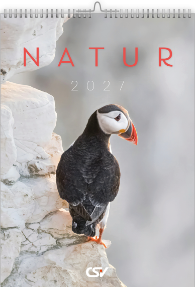 Gottes Schöpfung 2027 – Christlicher Wandkalender mit Naturfotografien, Tierbildern und Bibelworten.