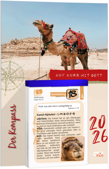 *Der Kompass 2026, Abreiß