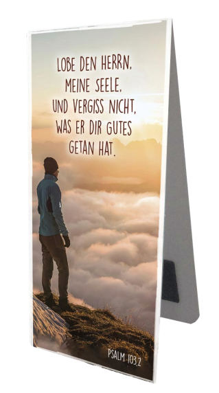 *Magnetlesezeichen