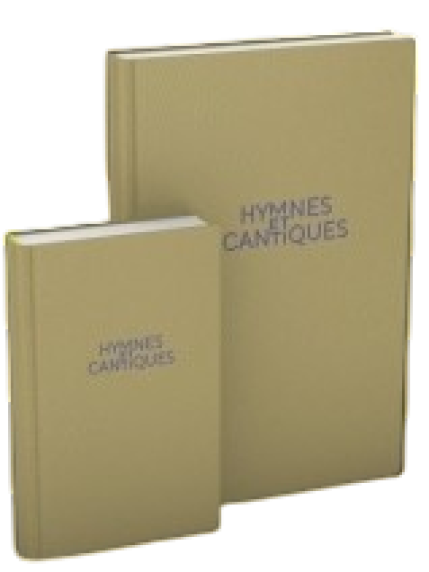 Französisches Versammlungs-Liederbuch, klein, grau – 304 Lieder, neue und erweiterte Auflage, Kunstleder