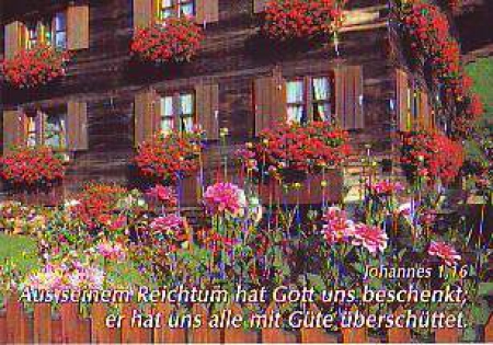 *Foto-Kärtchen