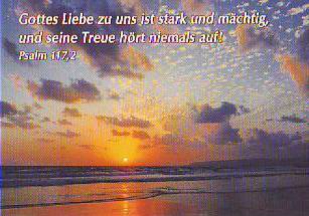 *Foto-Kärtchen