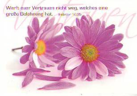 *Foto-Kärtchen