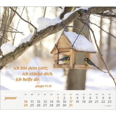 *Du bist meine Stärke, 2027