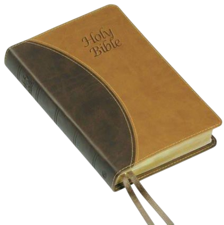 *King James-Übersetzung, braun, englisch