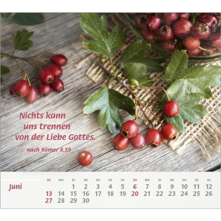 *Du bist meine Stärke, 2027