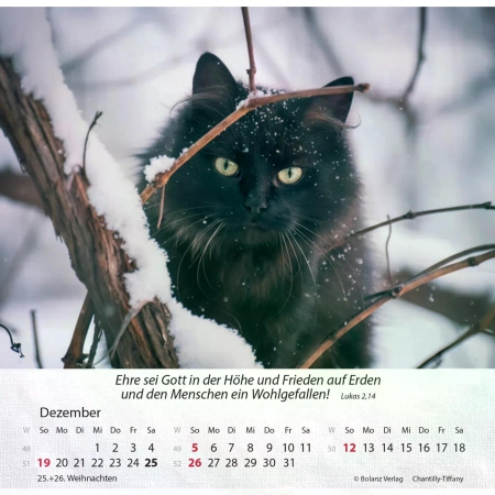 Katzenkalender 2027 mit entspannter Katze und Bibelvers