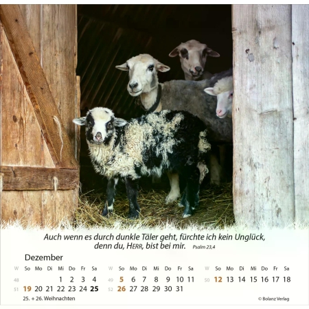 *Ein Leben für die Schafe, 2027