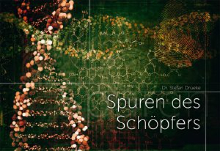 *Spuren des Schöpfers